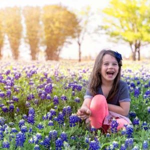 Bluebonnets near me