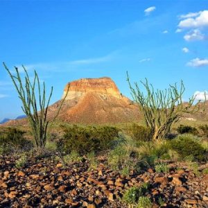 Big Bend National Park Texas
