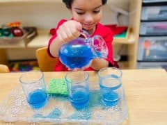Meridian Montessori of Plano
